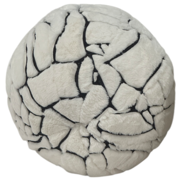 Lusso Curved Sofa - Future Classics Furniture