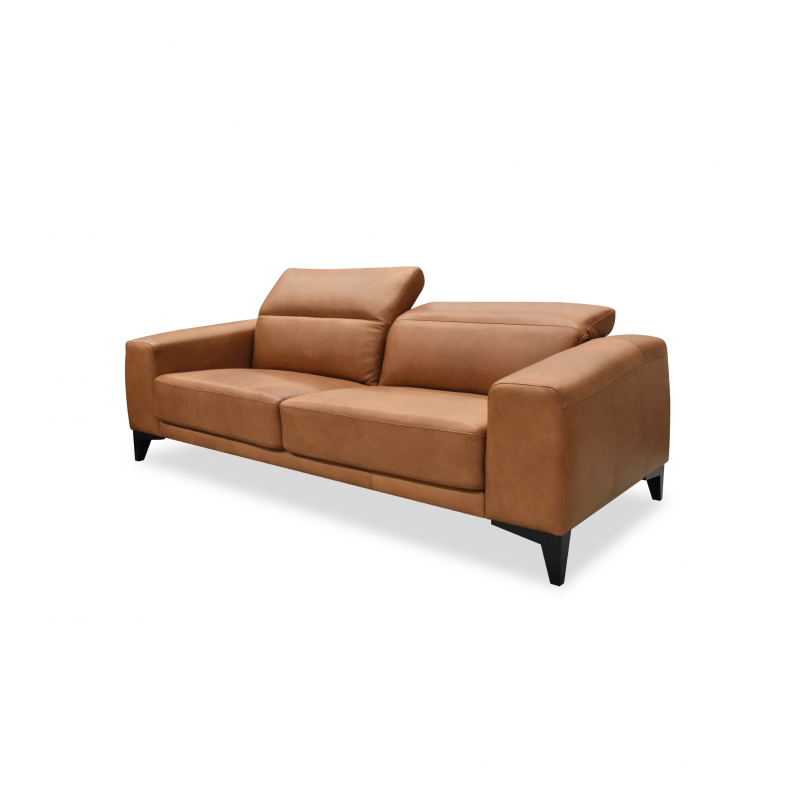 Vermont Sofa Tan Leather - Future Classics Furniture