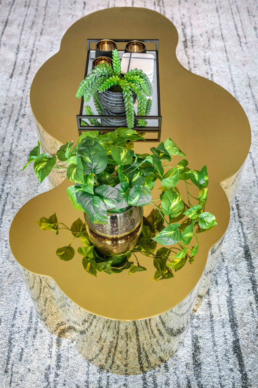 Reflections Coffee Table - Future Classics Furniture