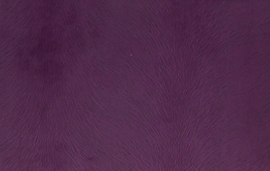 Palazzo 3 Seater Sofa - Future Classics Furniture