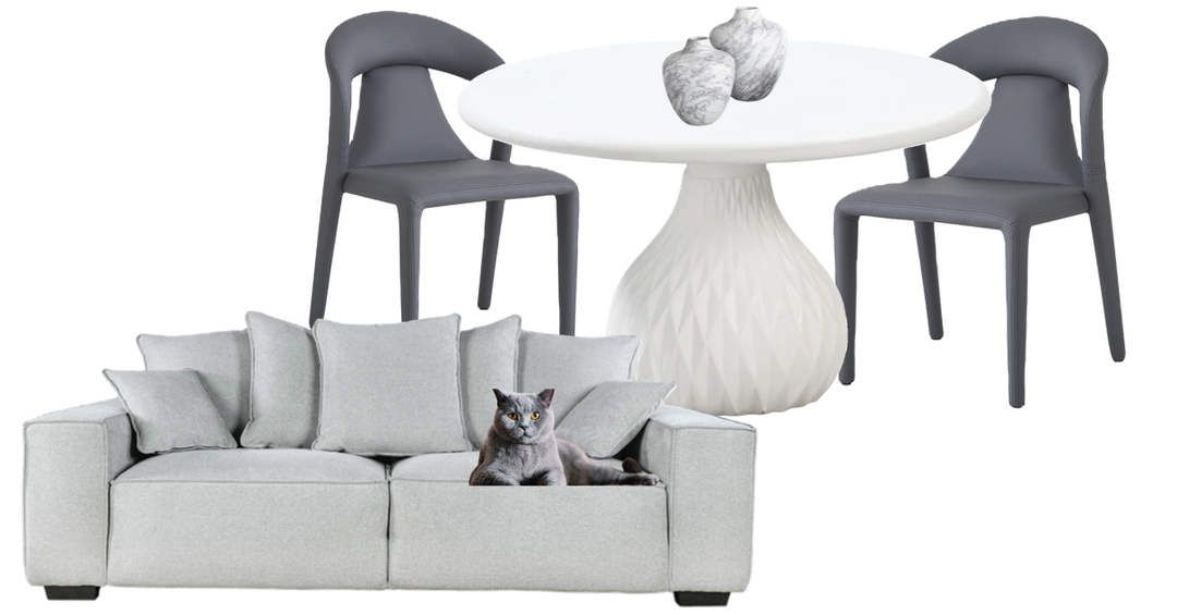Modern Comfort: Creating an Inviting Space with Future Classics Furniture