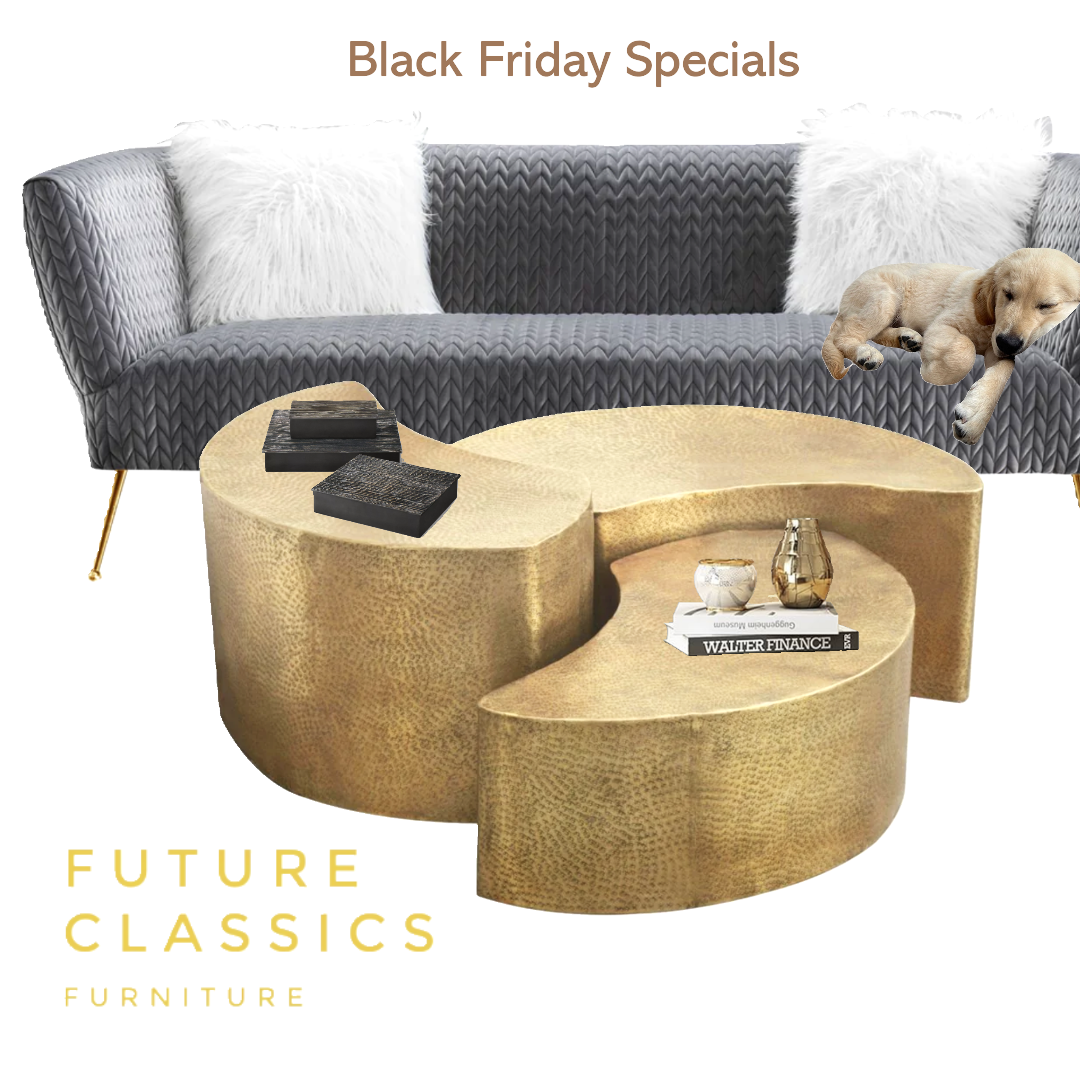 Black Friday Extravaganza at Future Classics Furniture: Unbeatable Deals Await!