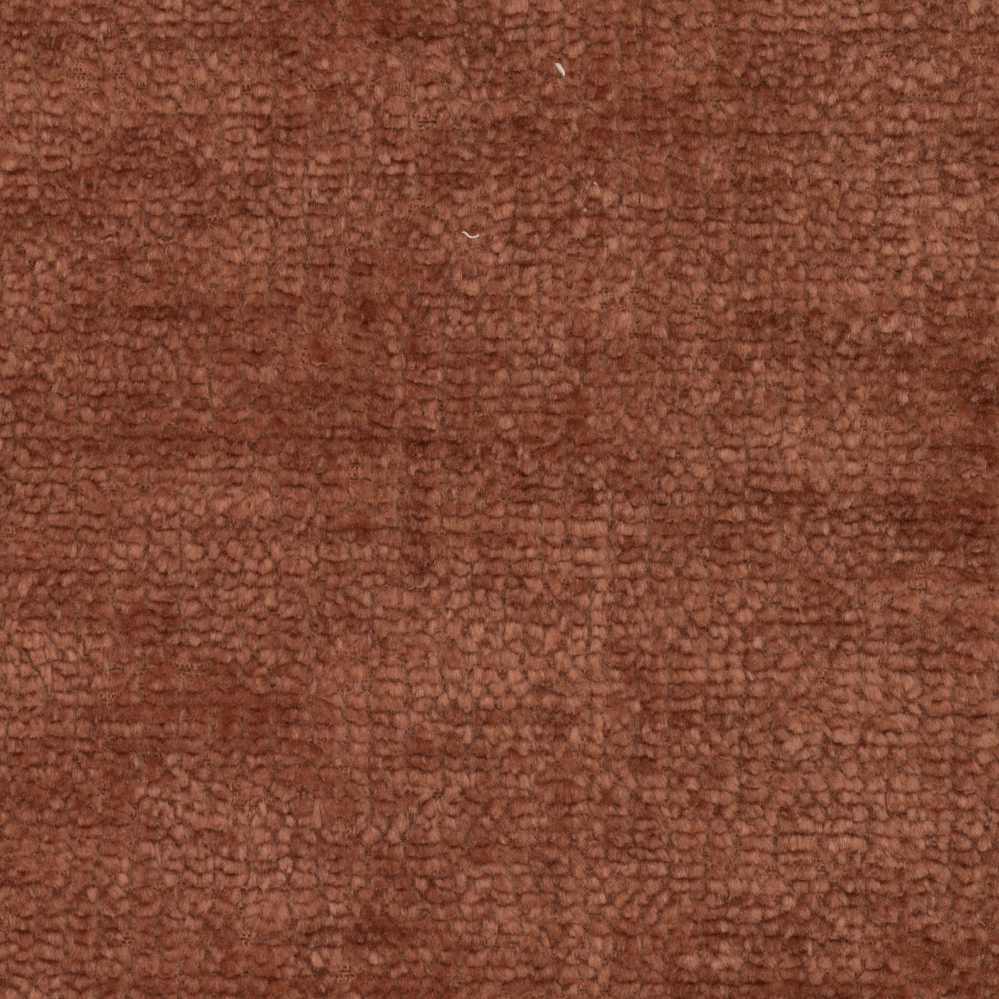 Profile Dining Chair Burnt Orange