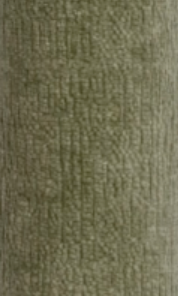 Profile Dining Chair Fern Green