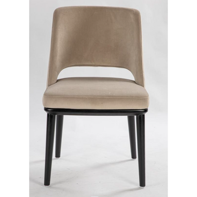Raiz Dining Chair